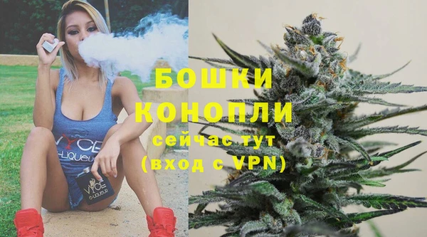 сатива Абинск