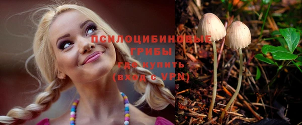 не бодяженный Алексин