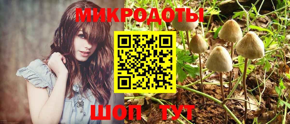 Октябрьский  Псилоцибиновые грибы прущие грибы  Вход с VPN 